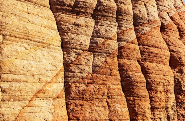 Quelle est l'importance de former les professionnels de l'immobilier sur le viager ?